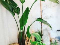 -如禾素食·下午茶·糖水