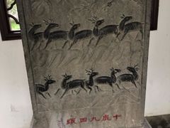 -上海醉白池公园