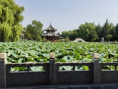 -莲池书院博物馆
