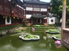 -豫园湖心亭茶楼