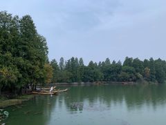-东湖落雁景区