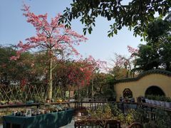 -广东花都香草世界旅游度假区