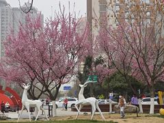 -西安创业咖啡街区