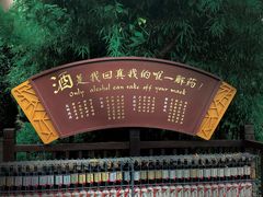 -太极禅苑