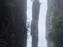 -鹿院坪生态旅游景区
