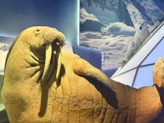 -抱抱地球咖啡馆(国家海洋博物馆店)