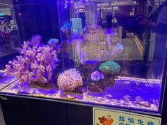 -一品鲜海鲜火锅(海信广场店)