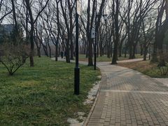 -玲珑塔公园