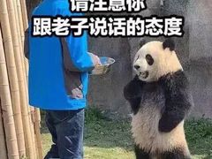 -正宗潮州鱼蛋粉(长寿西路店)