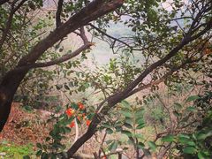 iphone_upload_pic-灵岩山风景区