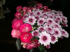 -河洛鱼庄(古城路店)