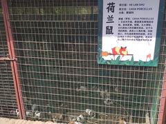 -嬉乐湾休闲旅游区
