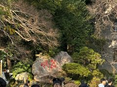 -江心屿景区