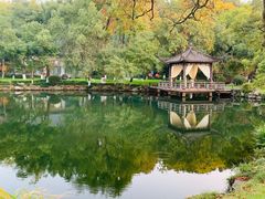 -浙江西子宾馆·瑶园咖啡厅