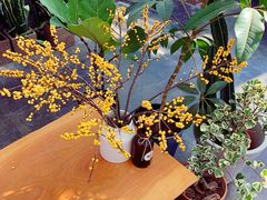 -北马山庄植趣咖啡
