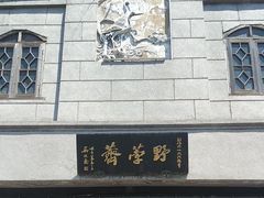 -野荸荠