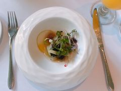 -蝶舍·MAISON PAPILLON