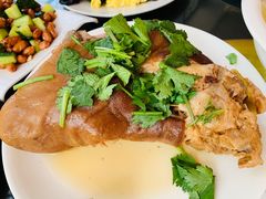 -东方巨龟苑景区