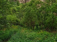 -龙门涧景区