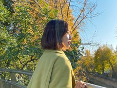-三里屯东五街银杏大道