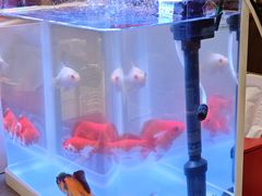 -海底捞火锅(武胜路凯德广场店)