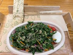 -油梨树 AVOCADO TREE(亮马桥店)