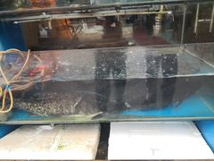 -浔味·山屿湖·正宗淳牌全鱼宴老字号