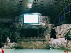 -杭州开元森泊度假乐园