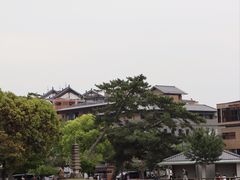 -奈良公园