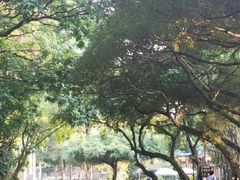 -石家庄市动物园