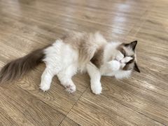 -iF摄影•全家福•证件照•形象照(南山店)