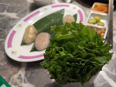 -禄婶鸡煲·打边炉