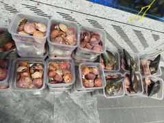 -巧克力渔家.小船海鲜家常菜(万平口店)