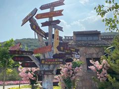 -五龙城郊森林公园