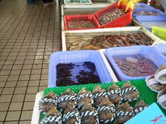 -南沙十九涌渔人码头-南门