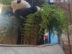 -茶去咖啡屋(武侯祠店)