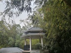 -晓港公园