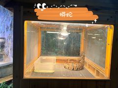 -上海大自然野生昆虫馆(东方明珠·爬宠昆虫探索中心)