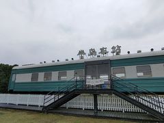 -西京湾花海
