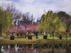 -堤角公园