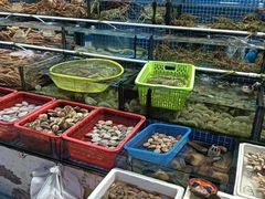 -板桥海鲜广场(文明东店)