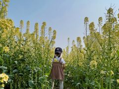 -中国天府农业博览园