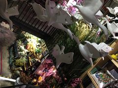 -范设计花园餐酒咖·中西餐·咖啡厅·酒馆
