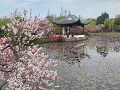 -无锡蠡湖国家湿地公园-蠡园