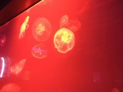 -福州罗源湾海洋世界旅游区