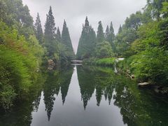 -东平国家森林公园