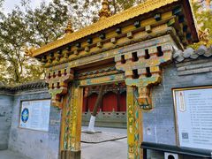 -护国法轮寺