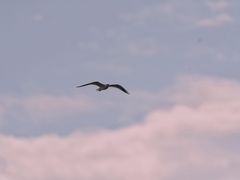 -黄河三峡风景名胜区