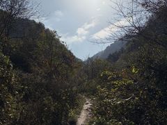 -抱龙峪