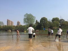 -青枫公园